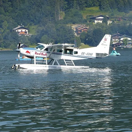 O'hara * Τσελ αμ Ζέε